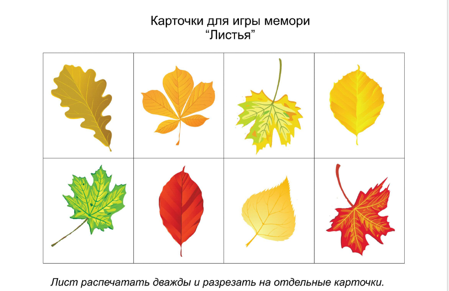 Листья разных деревьев картинки с названиями для детей