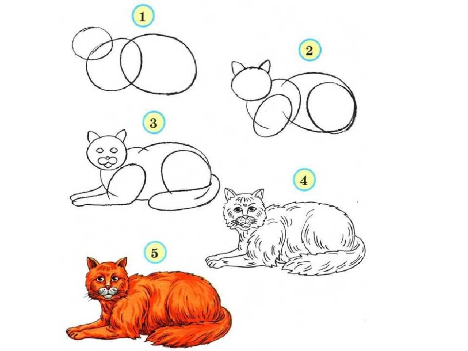 Рисунок домашнего животного 3 класс. Пошаговые рисунки животных. Рисунки пошагово для детей. Схема рисования домашних животных. Уроки рисования для начинающих.