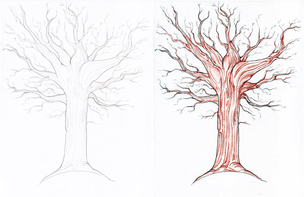 Как рисовать дерево. Дерево карандашом. Дерево для рисования. Этапы рисования осеннего дерева. Рисование деревьев карандашом.