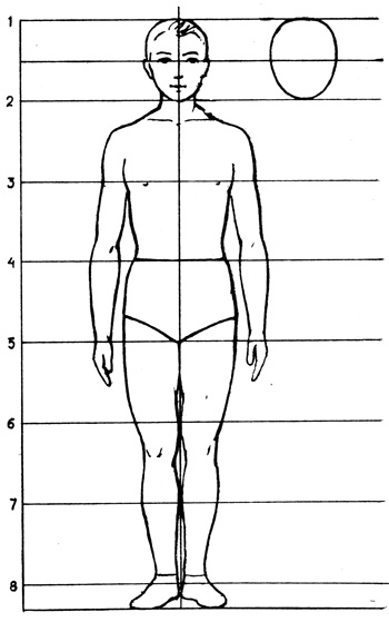 Фото человека в полный рост органы