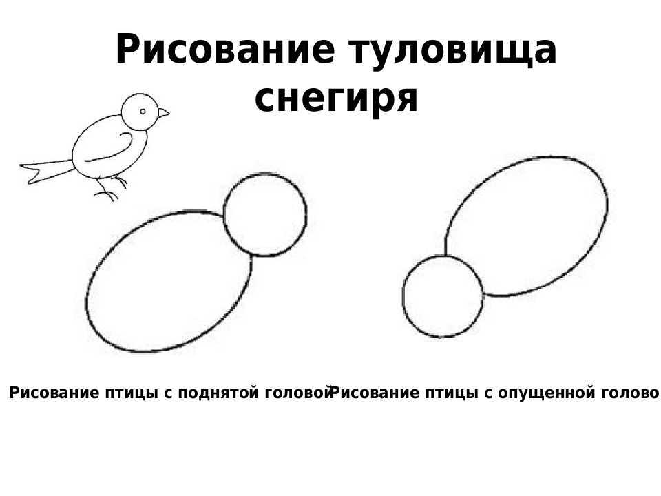 Поэтапное рисование птицы в подготовительной. Поэтапное рисование снегиря. Этапы рисования снегиря. Схема рисования снегиря для детей средней группы. Алгоритм рисования снегиря.