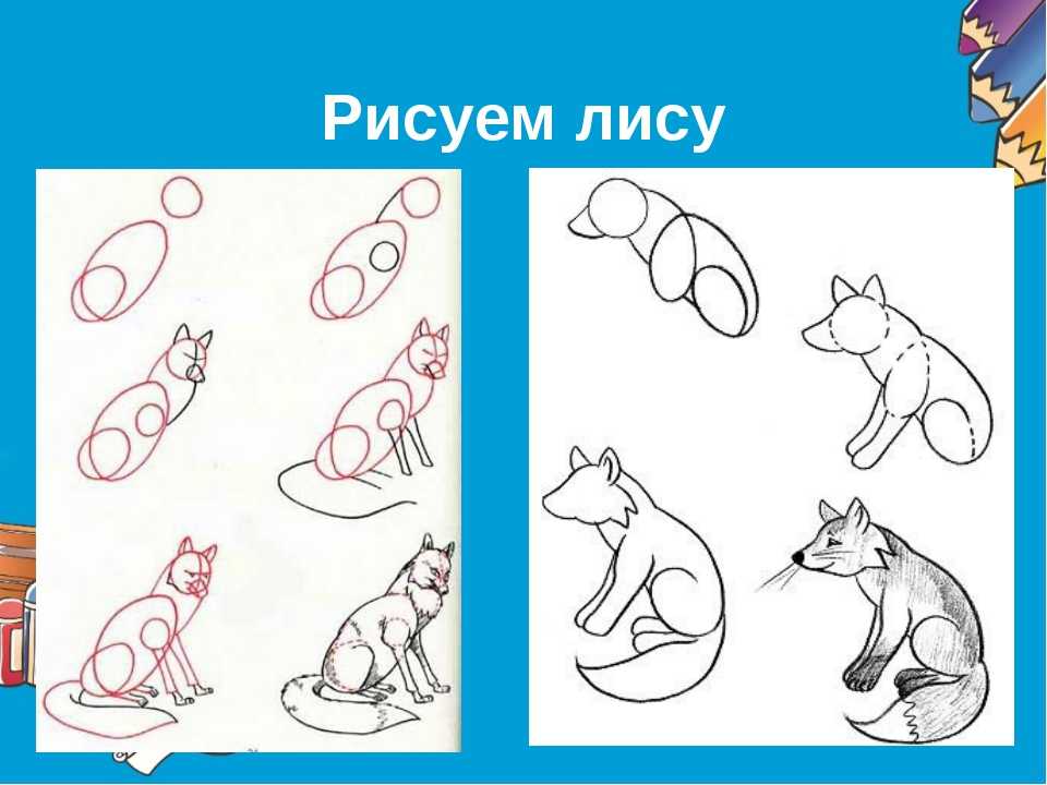 Лиса поэтапно карандашом. Этапы рисования лисы для детей. Этапы рисования лисы для дошкольников. Схема рисования лисы для детей. Поэтапный рисунок лисы.