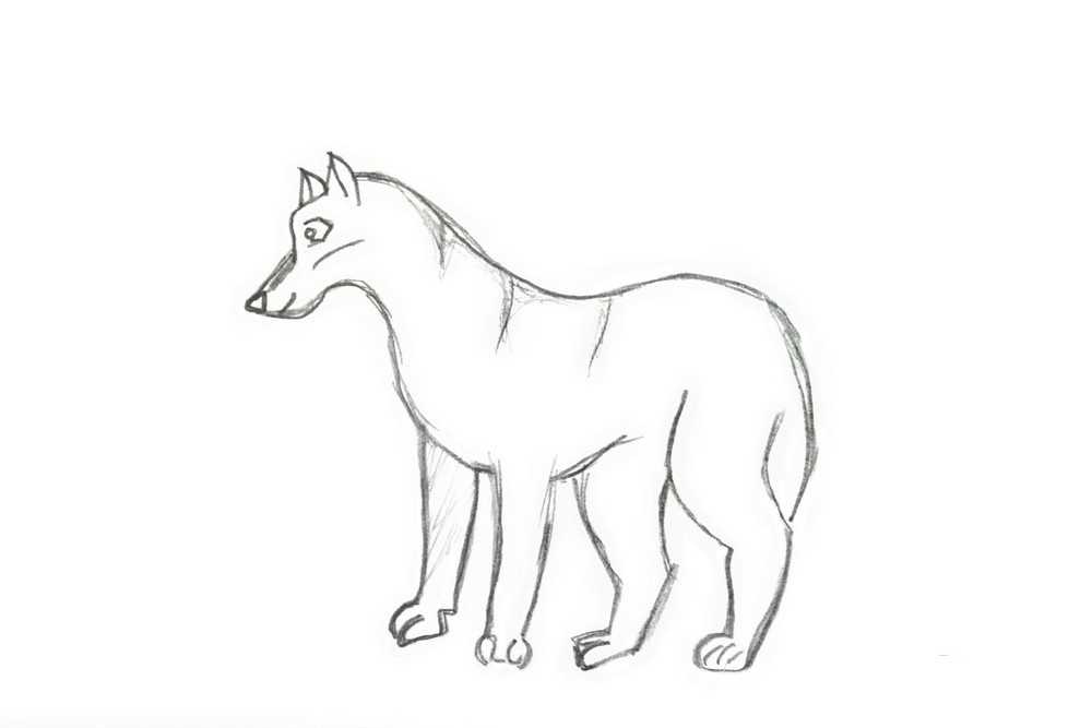 Волк поэтапно для детей. Волк для срисовки. Рисунки Волков карандашом. Пошаговое рисование волка. Волк карандашом для детей.