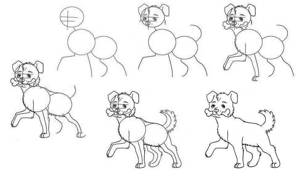 Собака карандашом легко для детей. Поэтапное рисование собаки. Поэтапное рисование щенка для детей. Поэтапное рисование собаки для детей. Собака рисунок карандашом.