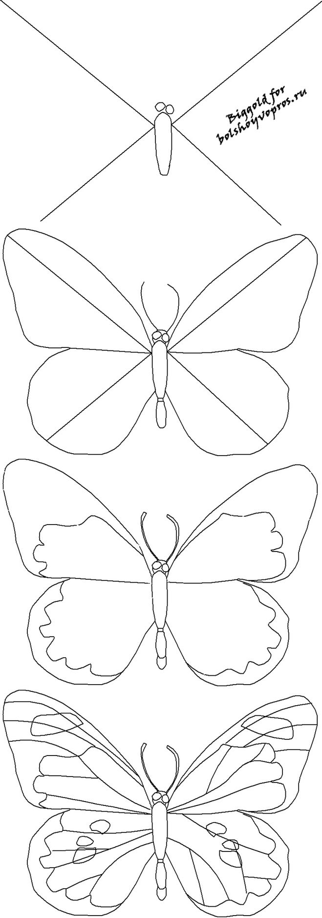 Схематичный рисунок бабочки