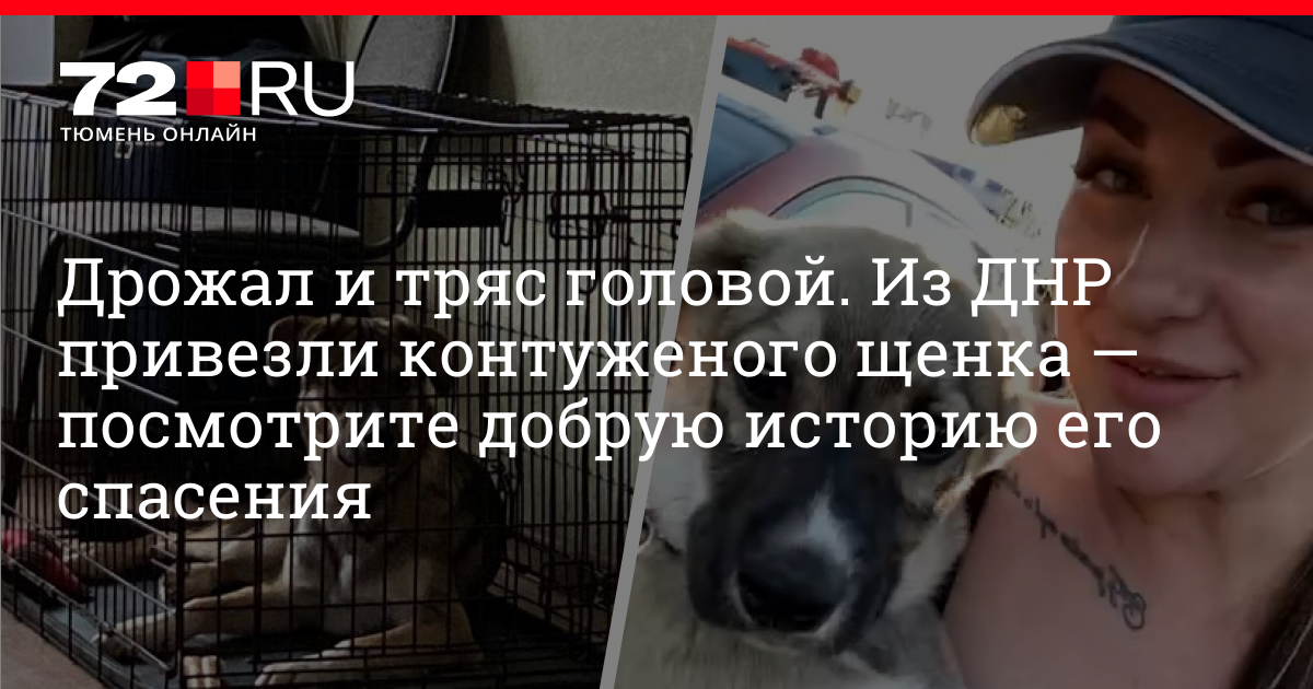 Нарисовать бассейн карандашом для детей