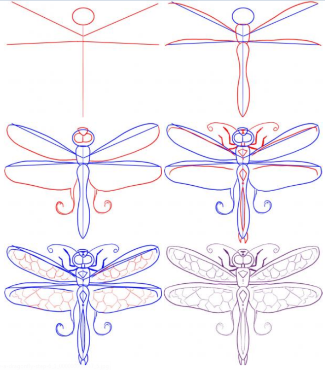 Пошаговое рисование бабочки. Поэтапное рисование Стрекозы. Поэтапное рисование насекомых. Поэтапное рисование Стрекозы для дошкольников. Стрекоза рисунок поэтапно.