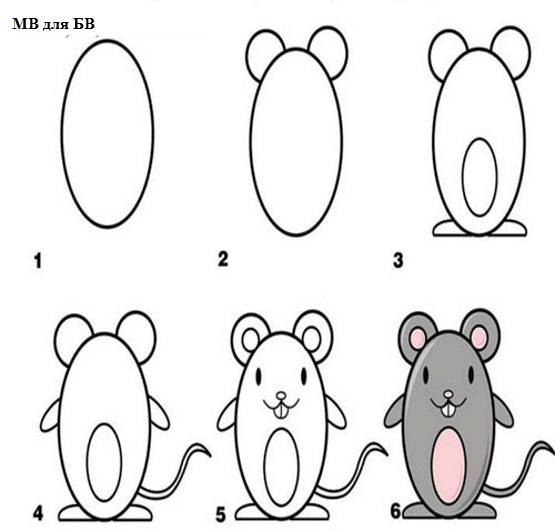 Как нарисовать мышь. Поэтапное рисование мышки. Мышь поэтапное рисование для детей. Схема рисования мышки для детей. Рисование для малышей пошаговое мышка.