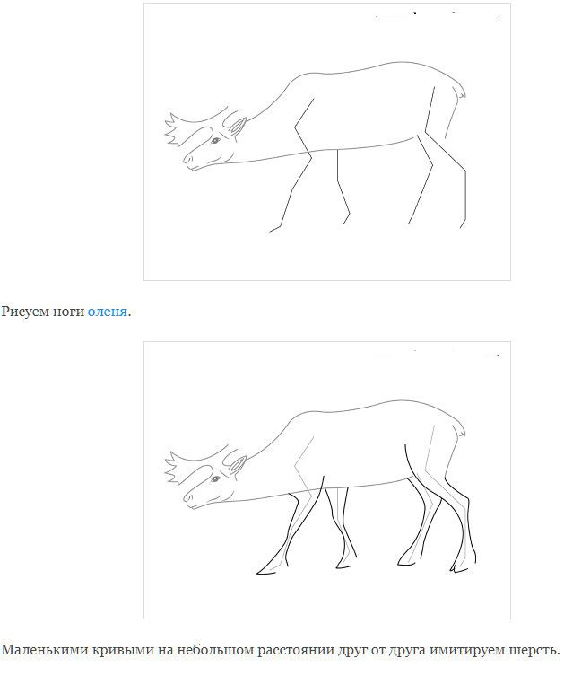 Здесь ты можешь выполнить рисунок по заданию. Поэтапное рисование тундры. Как нарисовать Северного оленя. Рисование оленя в подготовительной группе поэтапно. Рисунок Северный олень 4 класс.