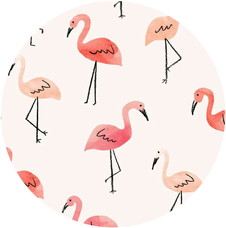 Карты фламинго. Грустный Фламинго. Круг Фламинго. Фламинго в кружочке. ЛД Фламинго.