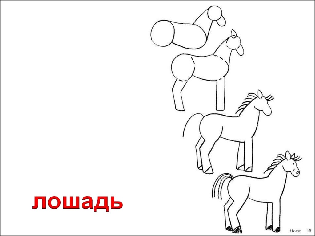 Конспект занятия лошадки. Рисование лошади в подготовительной группе. Рисование конь в подготовительной группе. Рисование лошадей для детей подготовительной группы. Рисование лошади в подготовительной группе поэтапно.