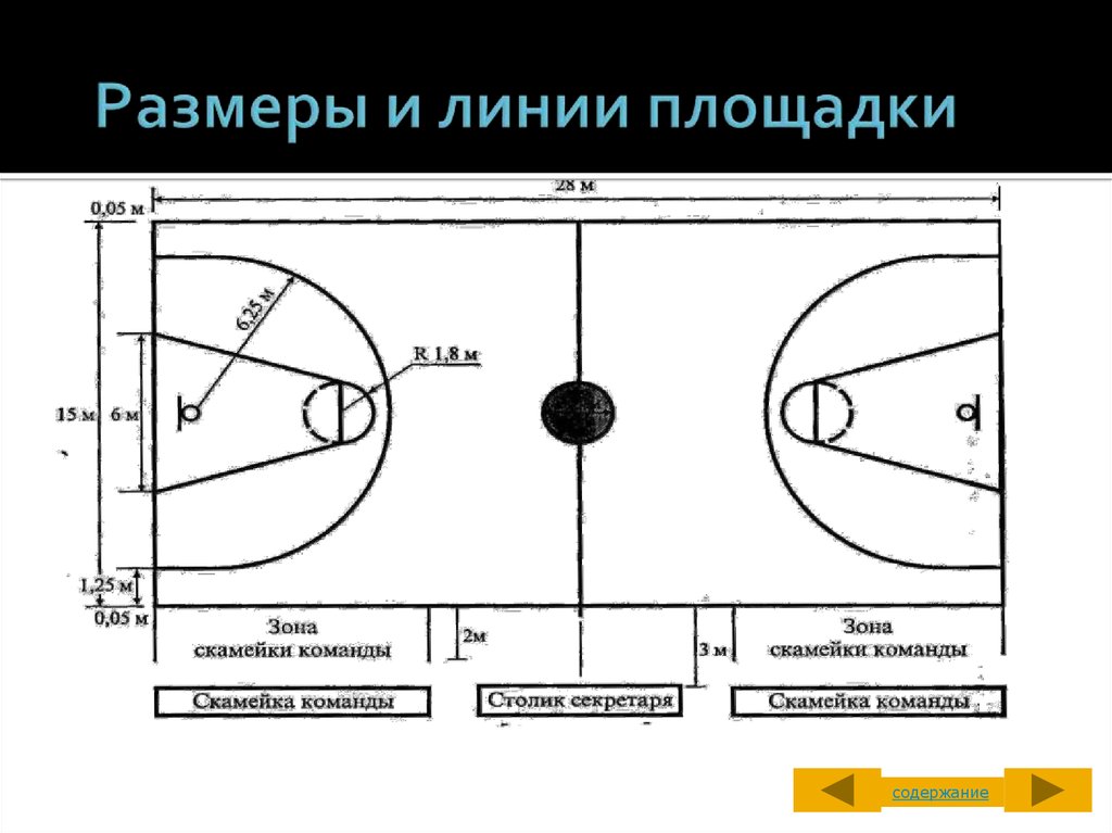 Линии площадки. Размеры и линии площадки. Линии на площадке. Зона скамейки команды от средней линии в баскетболе. Перечислить линии площадки.