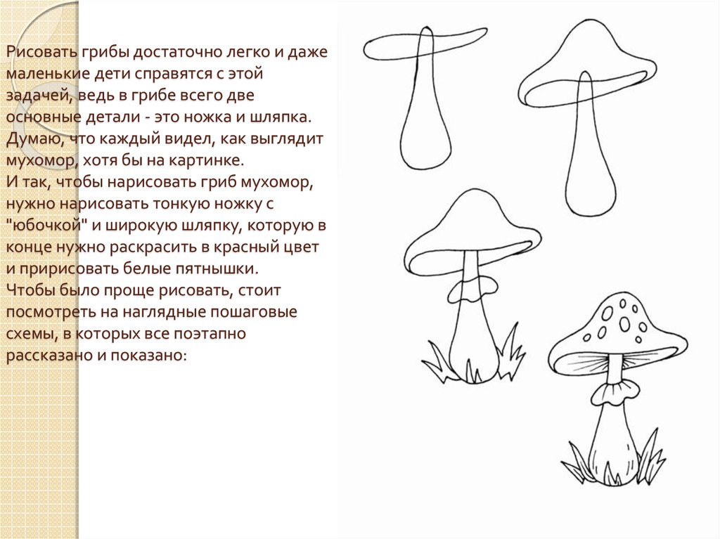 Как легко нарисовать гриб. Поэтапное рисование съедобных грибов. Задания для для дошкольников строение гриба. Формы грибов для рисования. Алгоритм рисования гриба.