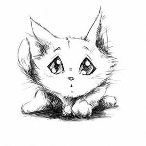 Чёрно-белые рисунки и картинки кошек, котиков - коллекция 1