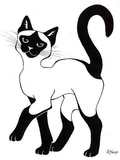 Чёрно-белые рисунки и картинки кошек, котиков - коллекция 10