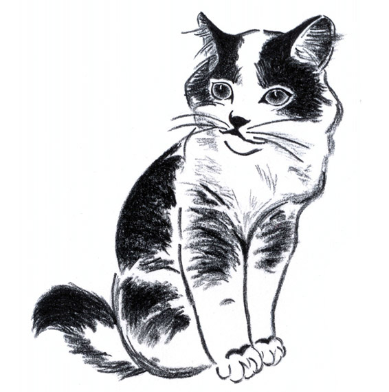 Чёрно-белые рисунки и картинки кошек, котиков - коллекция 7