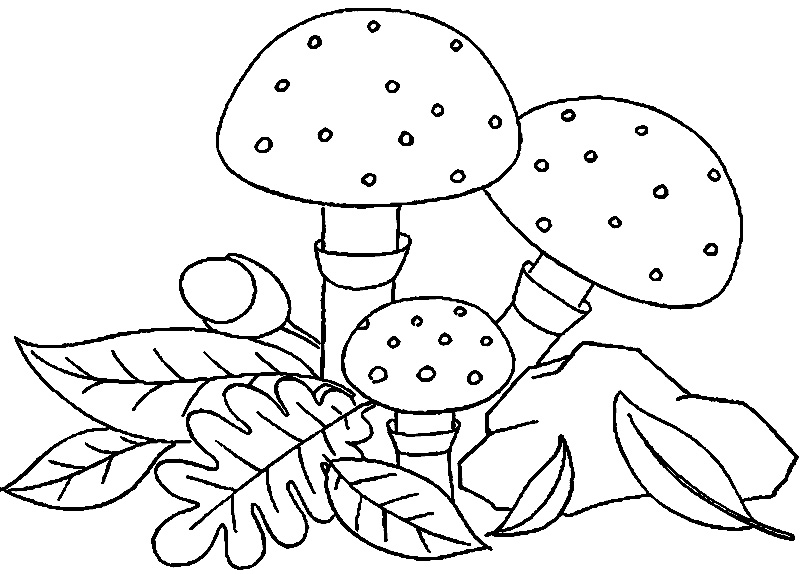 Ягоды и грибы картинки для детей раскраски