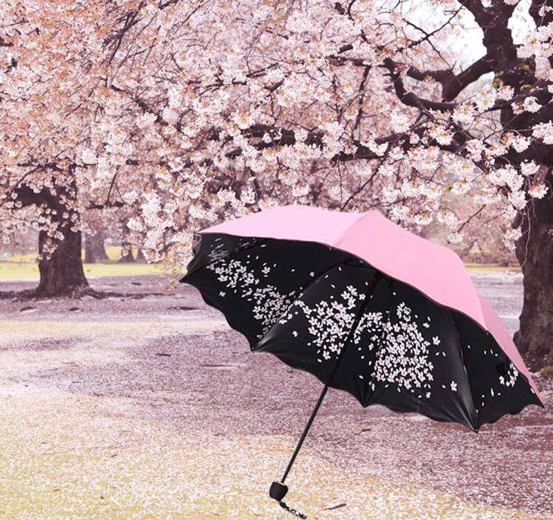 Весенний зонтик. Красивый зонт. Девушка с зонтом. Необычные зонты. Девочка с зонтиком.