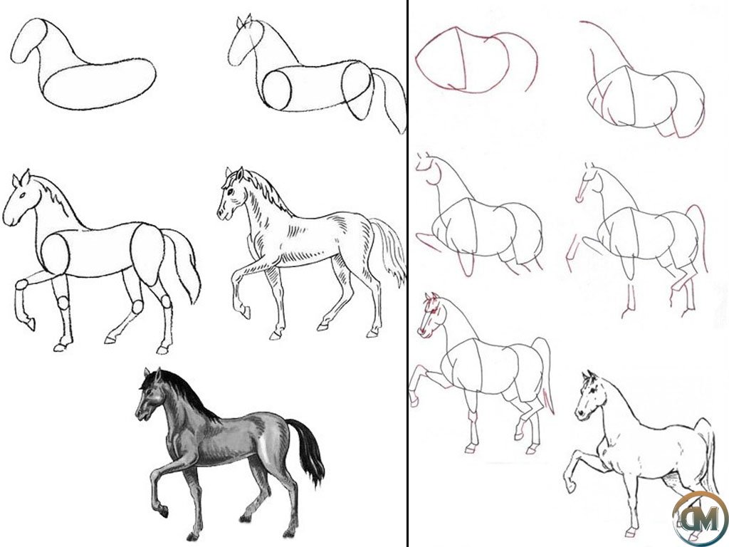 Лошадка 5 класс. Как нарисовать лошадь поэтапно. Пошаговое рисование лошади. Лошадь рисунок пошагово. Поэтапное рисование лошадки для детей.