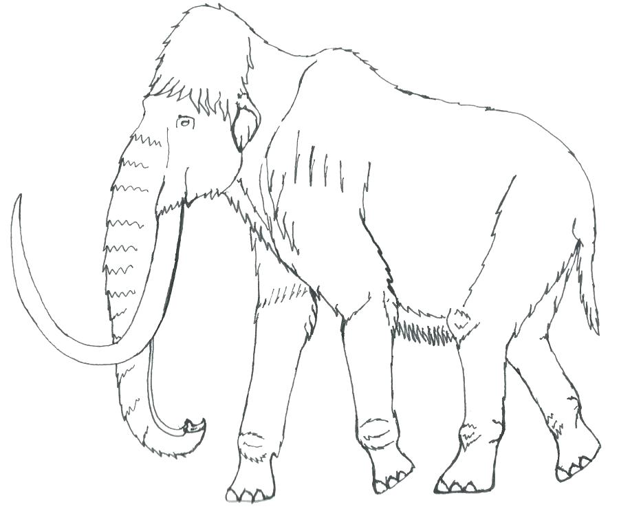 Нарисовать мамонта карандашом: Как нарисовать мамонта поэтапно 5 уроков