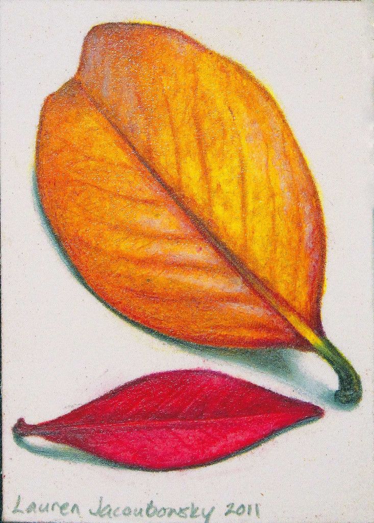Лист рисунок цветной