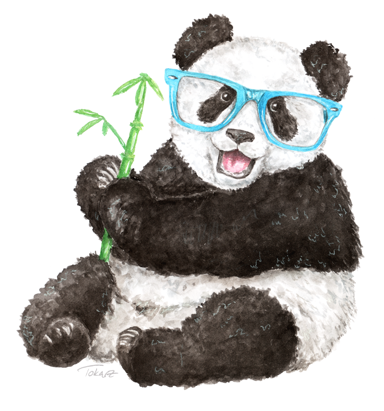 Панда в очках рисунок. Панда рисунок акварелью. Акварельные панды на прозрачном фоне.