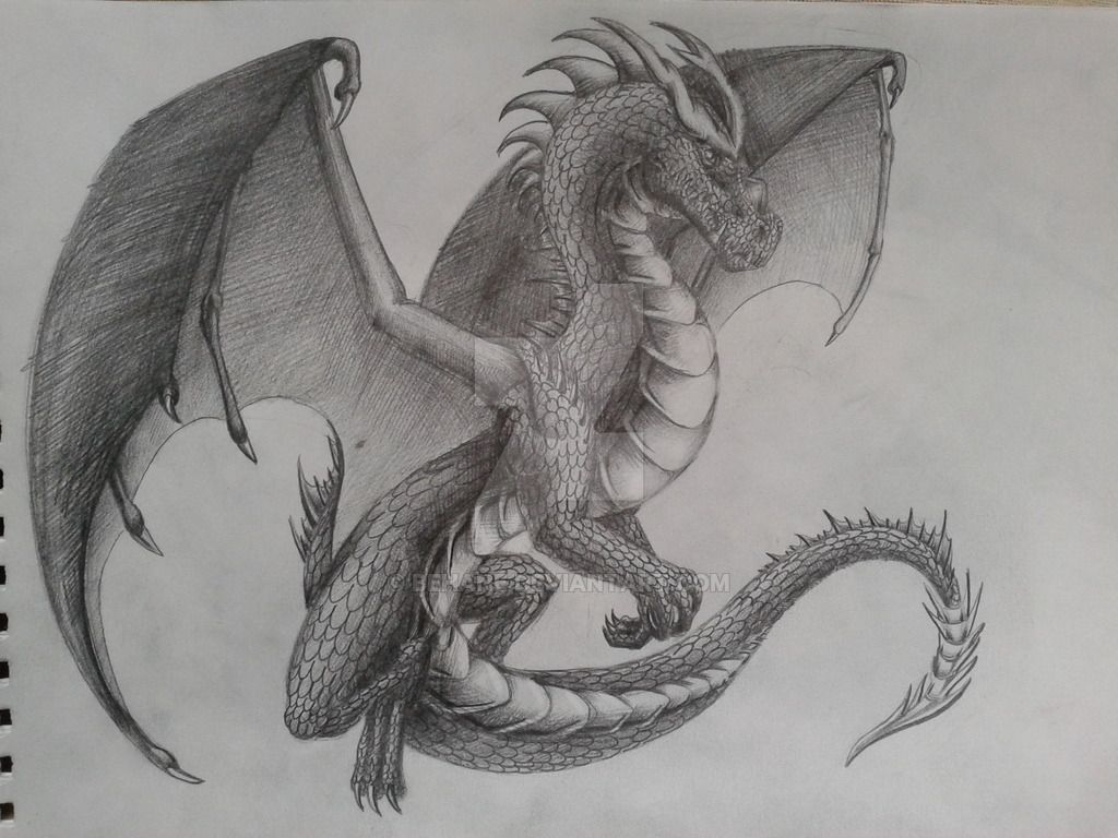 Дракон рисунок для срисовки. Дракон карандашом. Дракон для срисовки сложные. Дракон карандашом для срисовки. Рисунки для срисовки драконы красивые.
