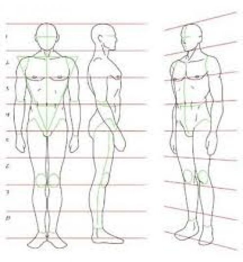 Бок построить. Пропорции мужчины для рисования. Пропорции человека мужчины для рисования. Мужское тело по пропорциям. Схемы с пропорциями мужской фигуры.