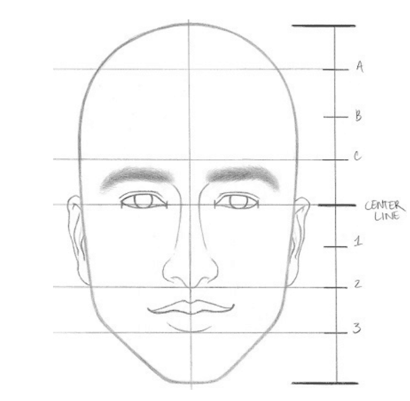 Лицо рисунок схема. Портрет пропорции лица человека поэтапно. Портрет анфас пропорции. Лицо рисунок. Пропорции лица человека для рисования.