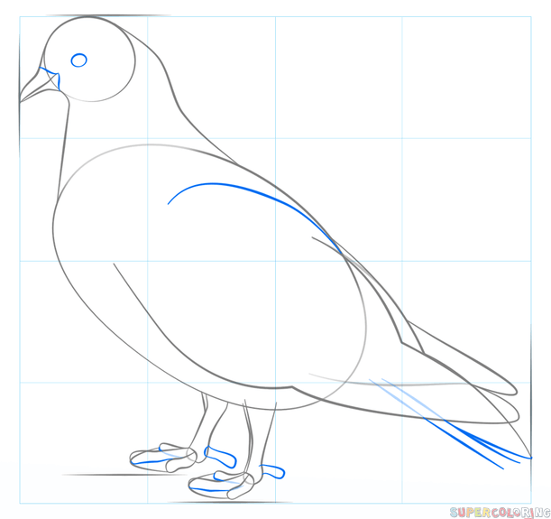 Нарисовать голубя карандашом поэтапно для начинающих детей