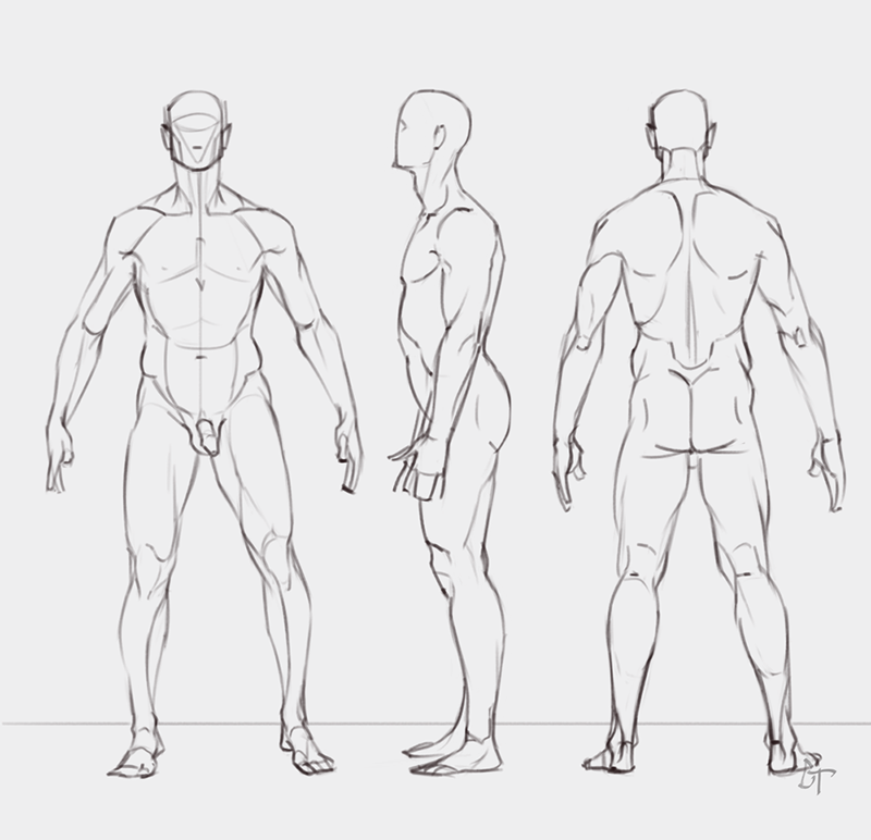 Рисовка человека. Туловище сбоку референс. Мужчина сбоку референс. Мужская фигура для рисования. Анатомия мужчины для рисования.