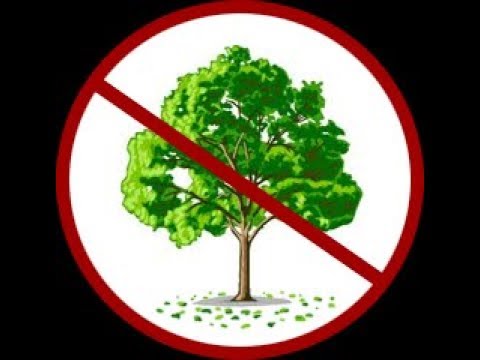 Нельзя рубить деревья. Природоохранные знаки. Знак нельзя рубить деревья. Знак вырубка деревьев запрещена. Значок вырубки лесов.