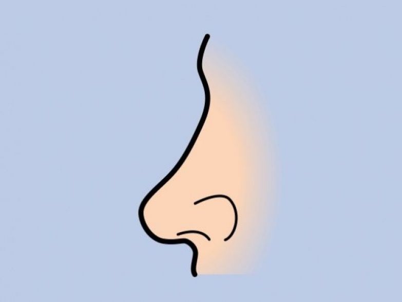 Покажи картинки носа. Нос. Человеческий нос. Нарисовать нос. Изображение носа.
