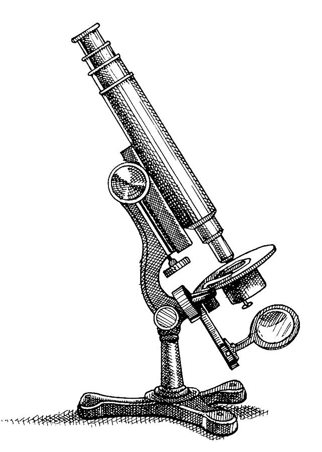 1 микроскоп. Микроскоп Иоганна мушенбрукарисунок. Микроскоп Иоганна липпесгея. Микроскоп Гука (гравюра из «микрографии»). Старый микроскоп.