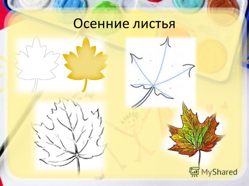 Возьми листьев. Осенние листья изо. Рисование с натуры осенние листья. Изо рисование осеннего листа. Рисование осенних листьев 2 класс.