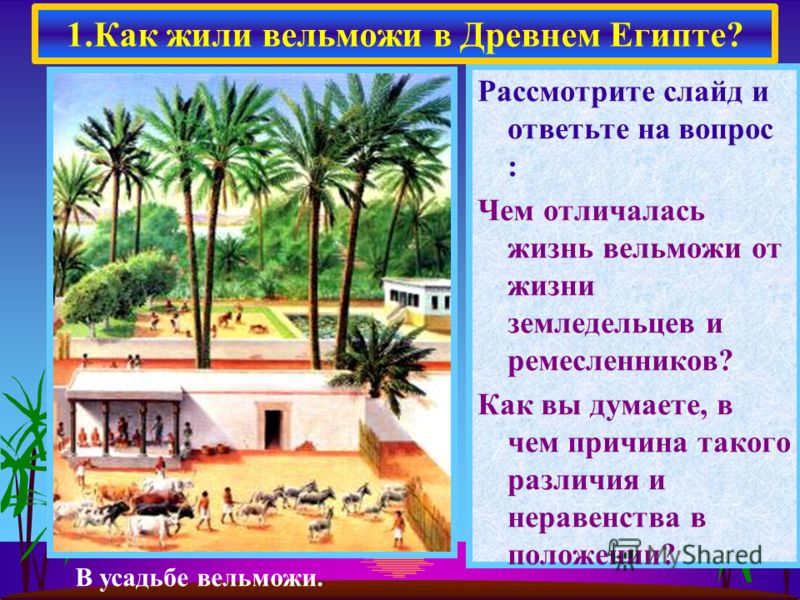 Как выглядел дом вельможи в древнем египте