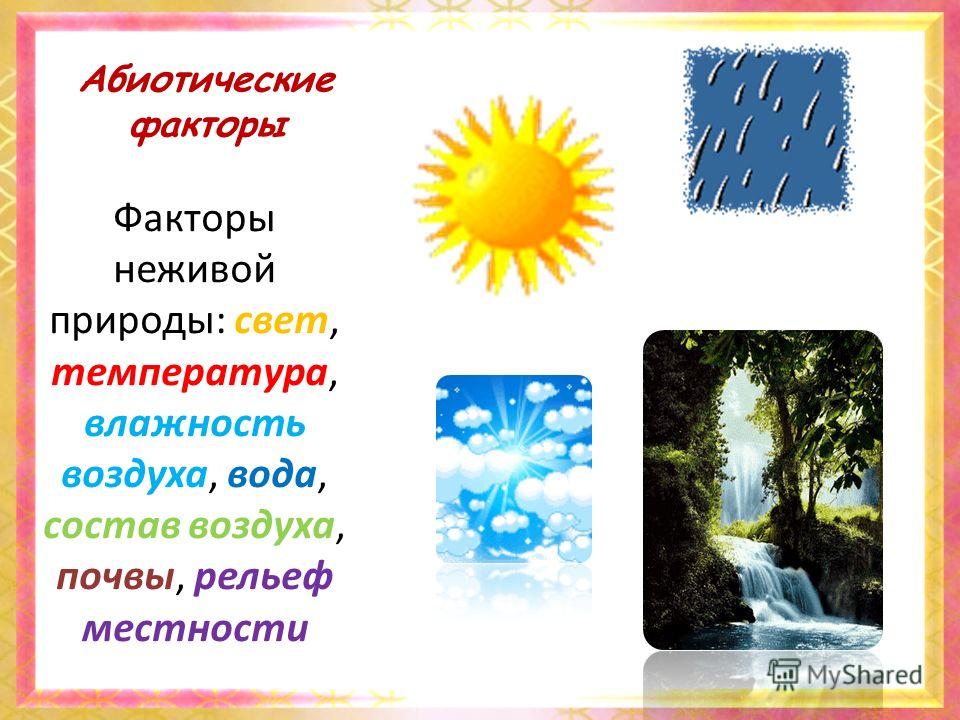 Факторы природы. Абиотические факторы неживой природы. Фактуры неживой природы. Фактуры ytживой природы.