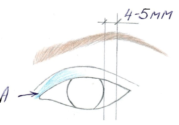 Как нарисовать брови карандашом поэтапно на лице для начинающих схемы фото