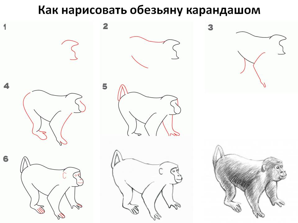 Рисунки карандашом 3 класса