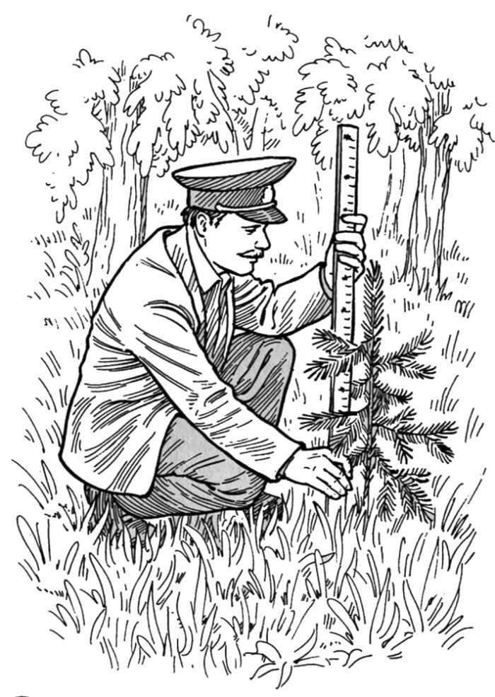 Как нарисовать лесного человека