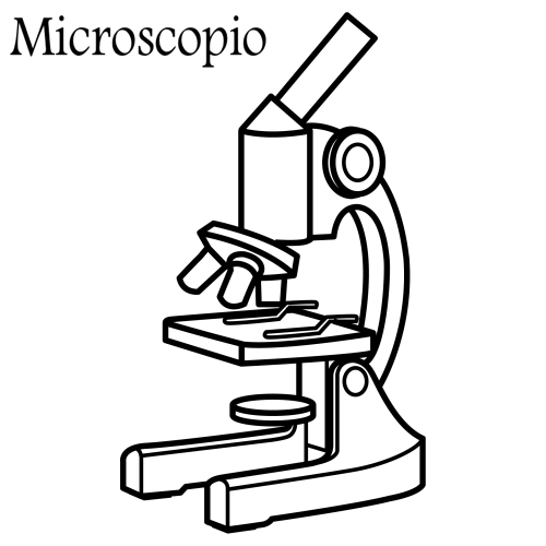 Рисунок микроскопа 5 класс. Разукрашка световой микроскоп. Зарисовать световой микроскоп. Микроскоп раскраска для детей. Световой микроскоп раскраска.