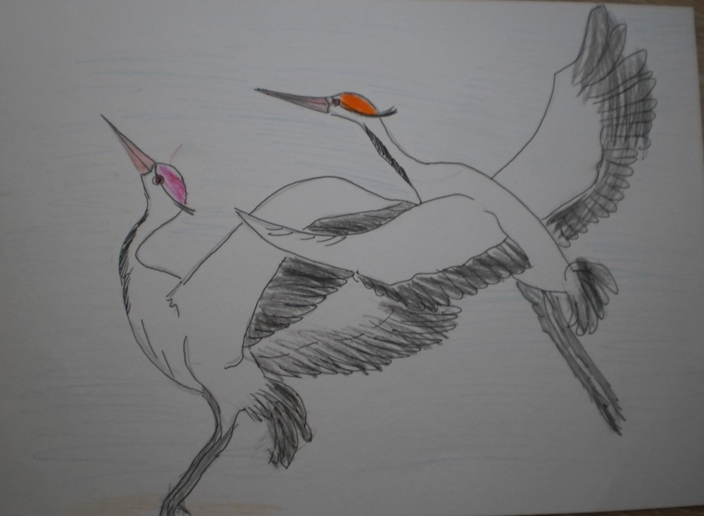 Картинка журавля на 9 мая. Журавль рисунок. Перелетные птицы Башкортостана. Журавль рисунок карандашом. Журавель рисунок.