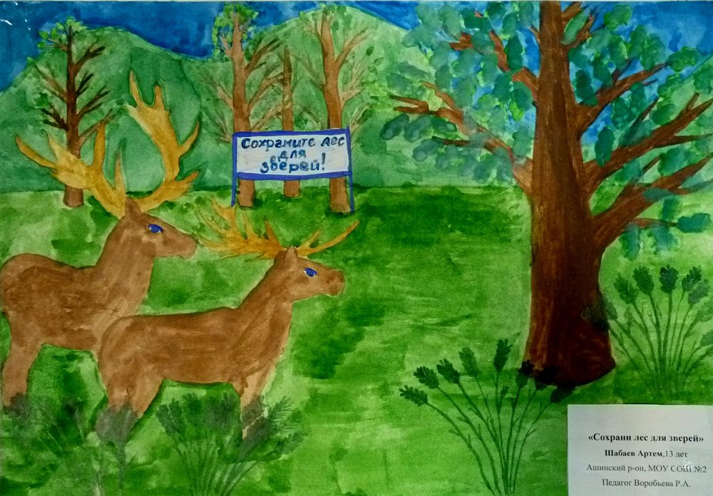 Сохраним природу татарстана. Рисование на тему лес. Рисунок на тему лес. Рисунок леса на конкурс. Название рисунка про лес.