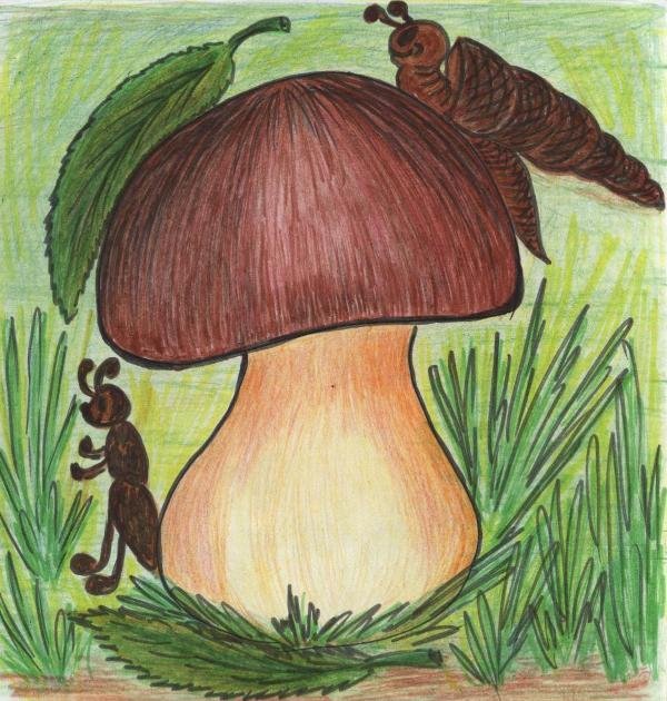 Рисунок гриба 5 класс. «Грибы для белки» (Комарова, с.36). Гриб рисунок. Рисование грибы. Грибы цветными карандашами.