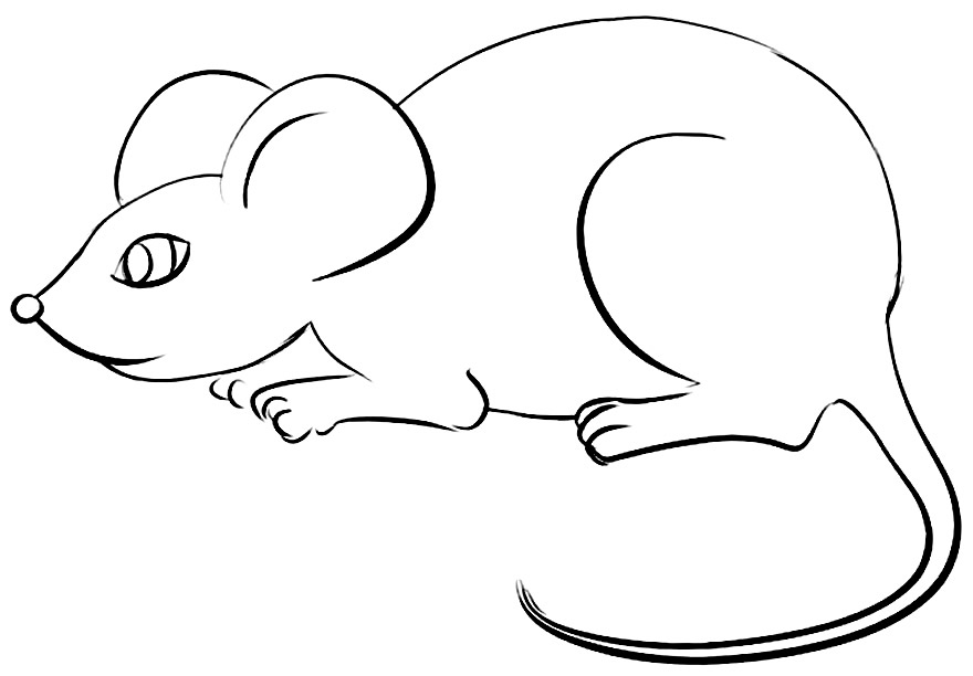 Как легко нарисовать мышку. Мышь карандашом. Мышь раскраска. Мышка карандашом. Мышь карандашом для детей.