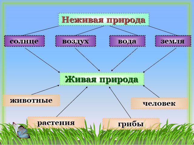 Природа схема. Схема связи живой и неживой природы 2. Связь между объектами живой и неживой природы схема 2 класс. Схема живой и неживой природы 2 класс окружающий мир. Пример связи живой и неживой природы 2 класс окружающий мир схема.