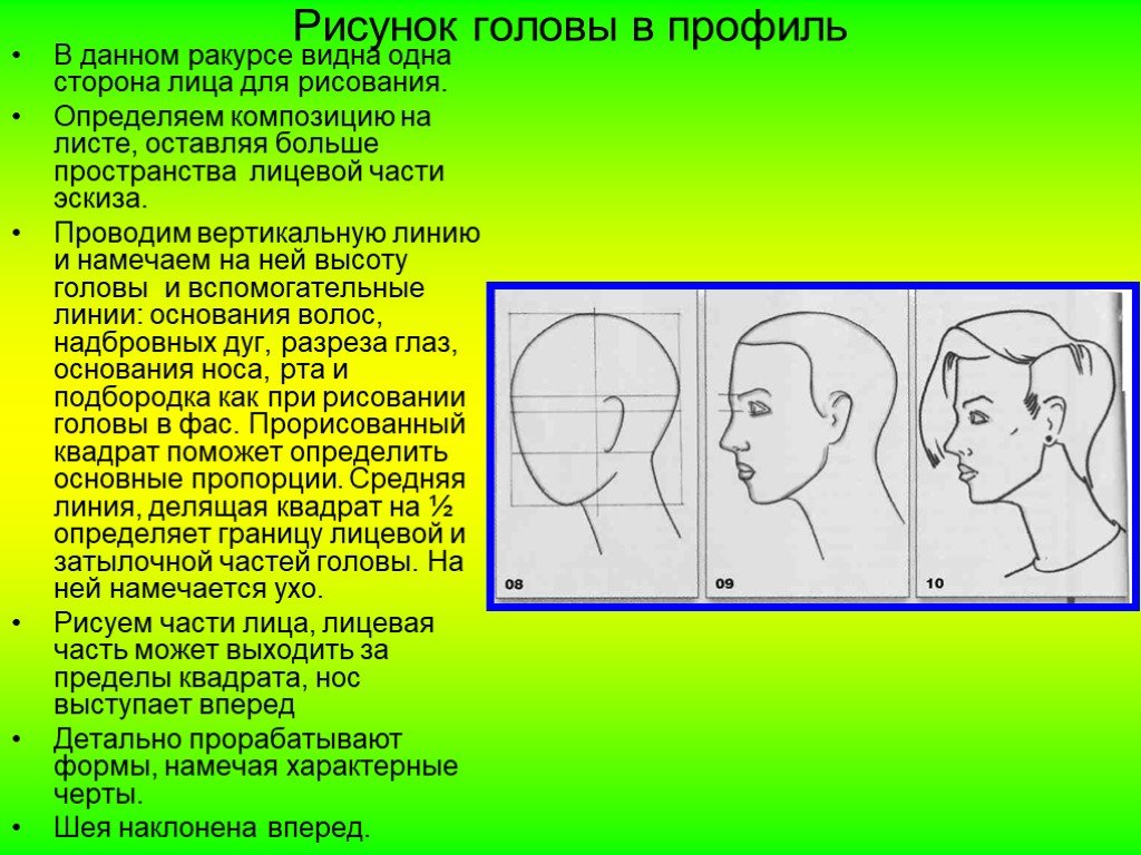 Положение затылка. Рисование головы человека в пространстве. Изображение головы в пространстве. Изображение головы человека в пространстве рисунок. Пропорции лица человека для рисования в профиль.