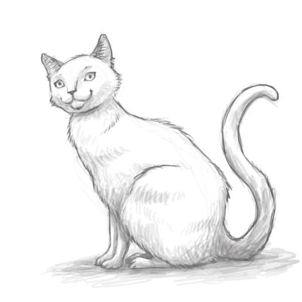 Красивые картинки котов для срисовки - легкие, простые, прикольные 9