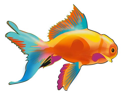 Красивые и прикольные картинки рыб для детей - лучшая подборка 5