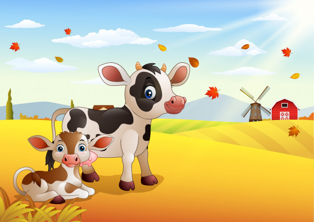 Красивые картинки коровы для детей и малышей - сборка 19